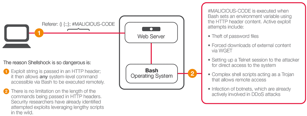 Worm exploits Shellshock to infect QNAP systems