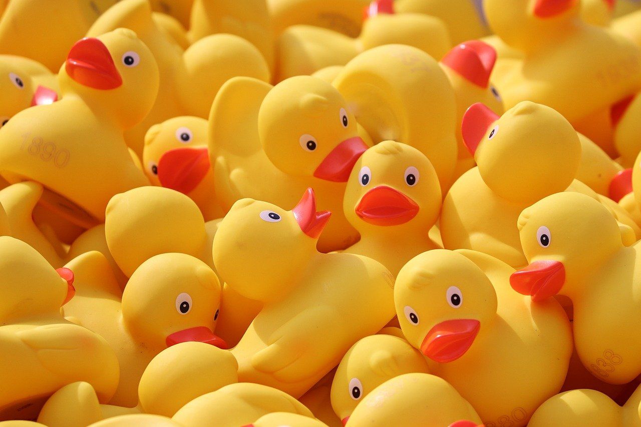 Rubber Duck Debugging: A Simple 2024 Beginner's Guide