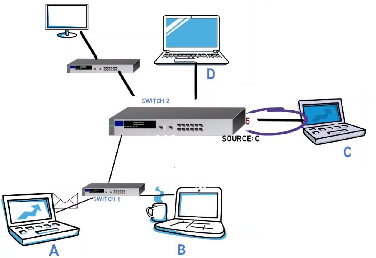 Network Devices – How Hubs and Switches Work and How to Secure Them